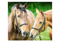 Horse Jigsaw Puzzle - 600 pcs