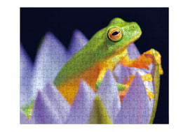 Frog Jigsaw Puzzle - 250 pcs